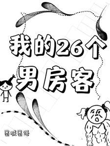 我的26个男房客讲的什么