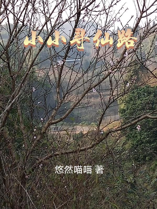 小小寻仙路免费完整版