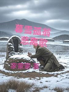 孤山暮雪