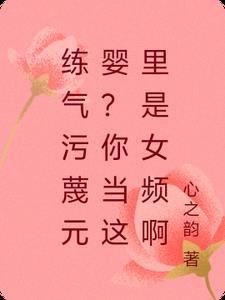 练气元婴体系的