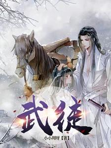 武徒武士武师大武师武灵武王武皇武宗武尊武圣武帝武神