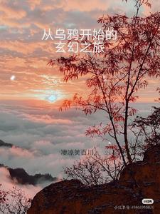 从乌鸦到星空