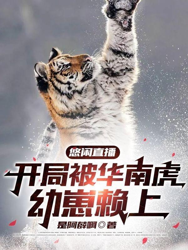 直播悠闲生活开局带着五只小熊猫