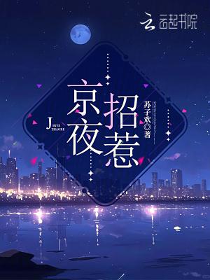 京夜招惹全文免费阅读