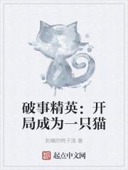 破事精英开局成为一只猫