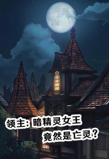 暗夜领主