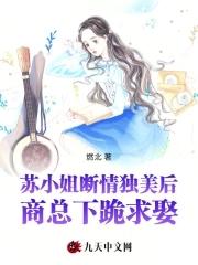 苏小姐不也骗了我吗