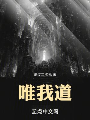 唯我道无防盗全文笔趣阁