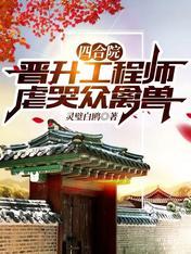 四合院神级工程师免费阅读