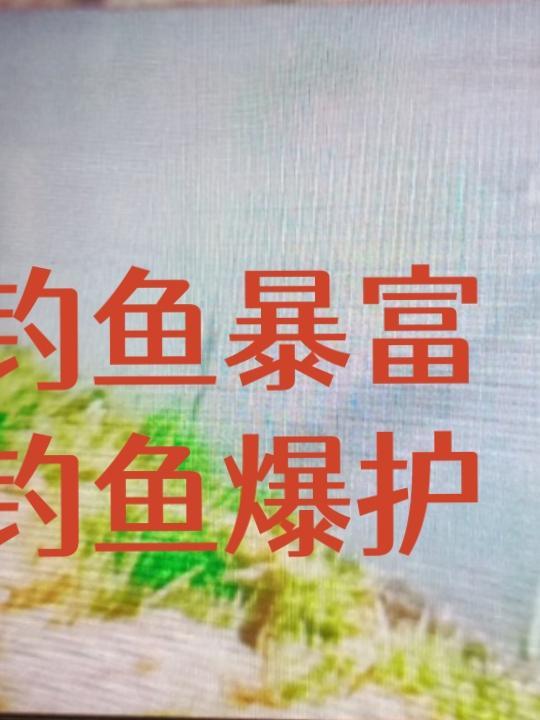 钓鱼爆护图片大全微信